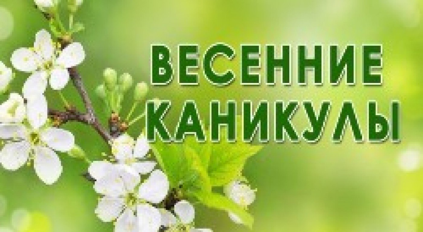 Весенние каникулы.